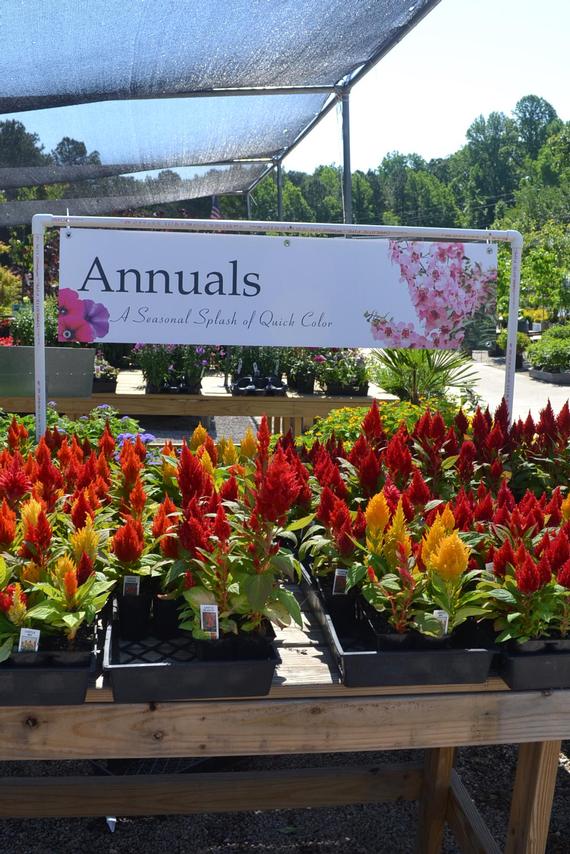 With Annuals, you have to spend money with us annually and we like that.